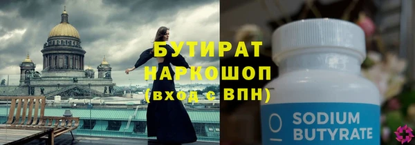 индика Алексин