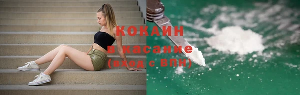 индика Алексин