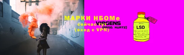 индика Алексин