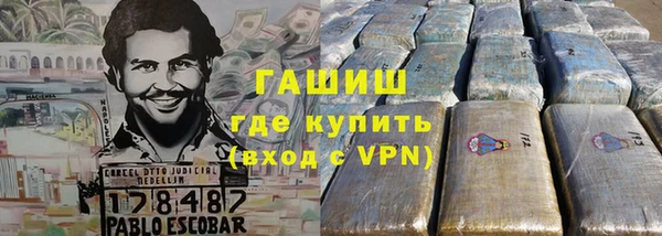индика Алексин
