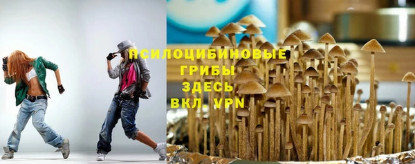 PSILOCYBIN Алексеевка