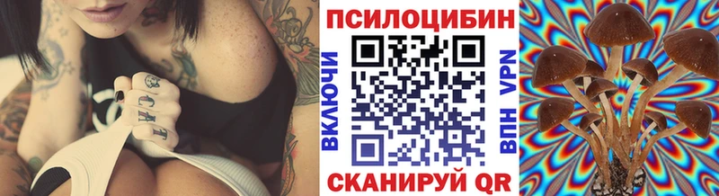 блэк спрут вход  Медынь  Галлюциногенные грибы мицелий 
